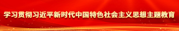 国产日逼黄色网站学习贯彻习近平新时代中国特色社会主义思想主题教育